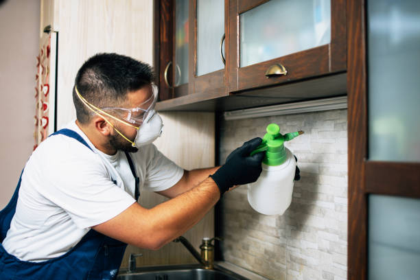 Best Cockroach Control Services  in Plains, MT