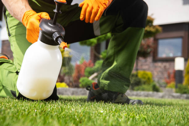 Best Pest Removal Services  in Plains, MT