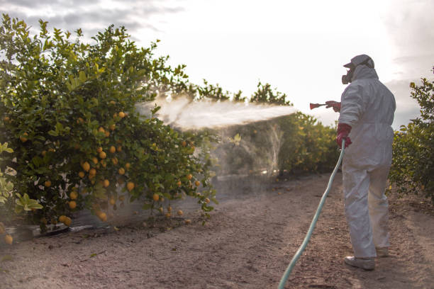 Best Pest Control Near Me  in Plains, MT