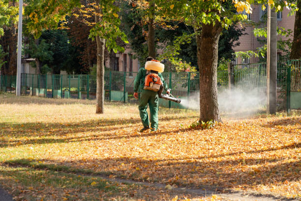 Best Affordable Pest Control Services  in Plains, MT
