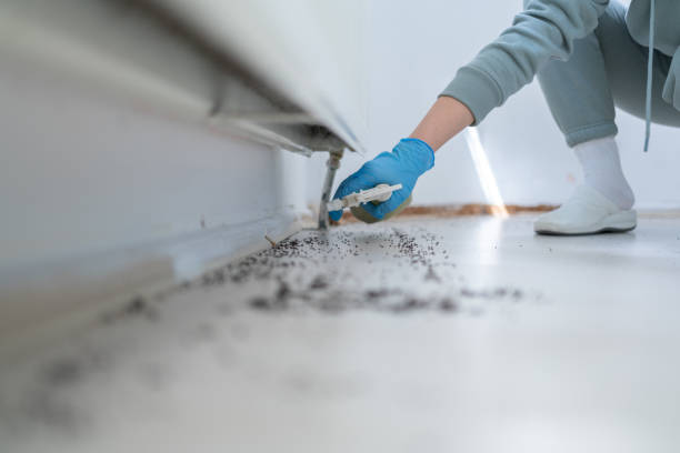 Best Commercial Pest Control Services  in Plains, MT