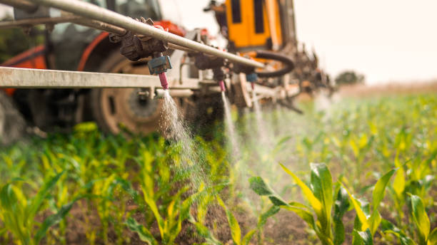Best Pest Inspection Near Me  in Plains, MT